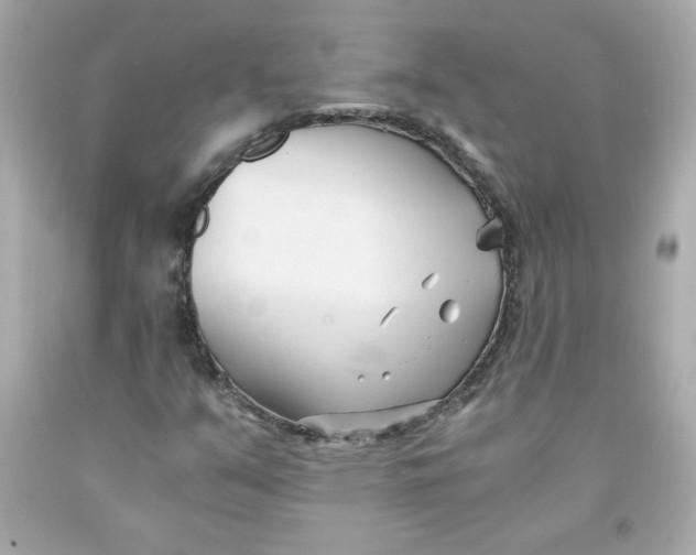 X0000091571351200709100948