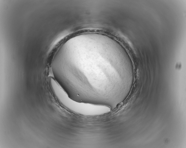 X0000091571352200709100948