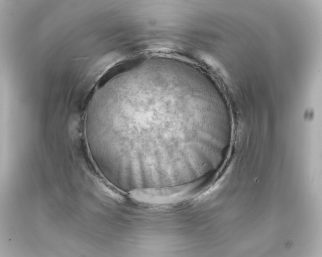 X0000091571353200709100948