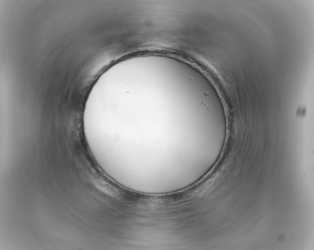 X0000091571355200709100948