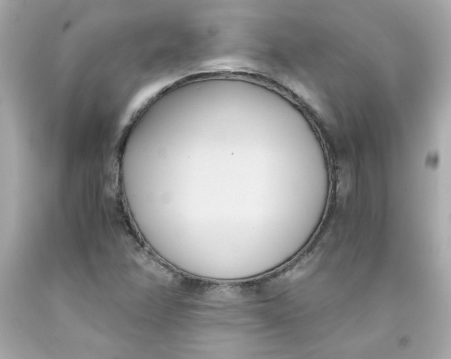 X0000091571358200709100948