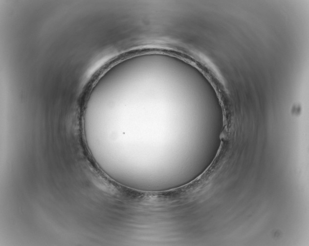 X0000091571360200709100948