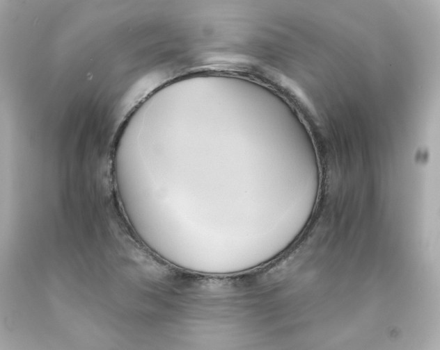 X0000091571362200709100948