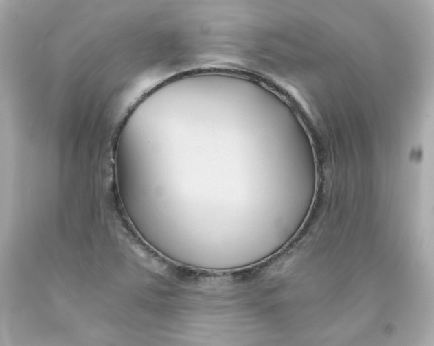 X0000091571363200709100948