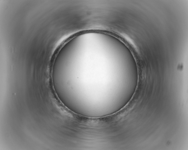 X0000091571364200709100948