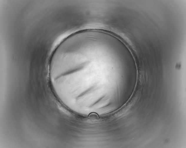 X0000091571366200709100948