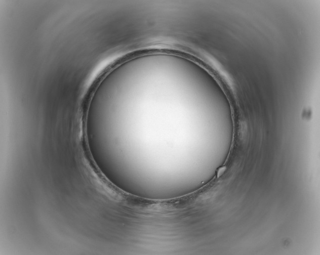 X0000091571368200709100948