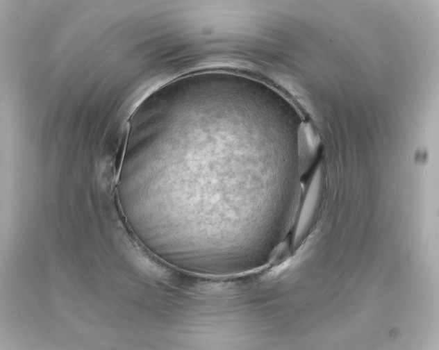 X0000091571369200709100948