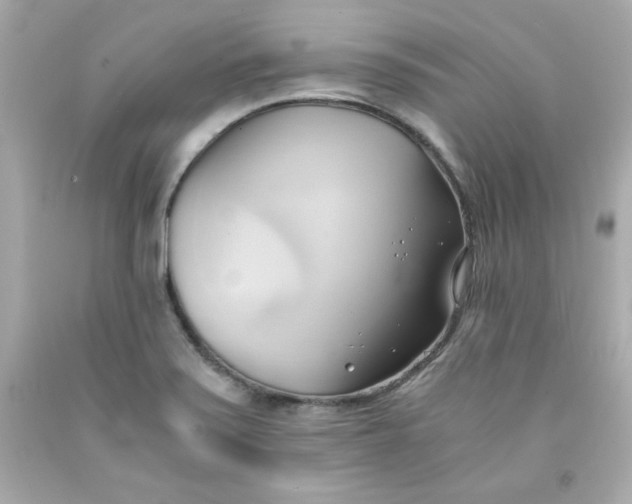 X0000091571371200709100948