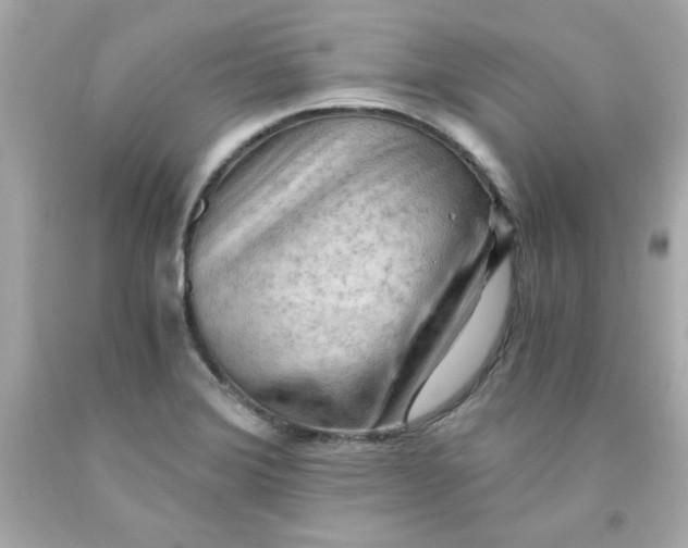 X0000091571372200709100948