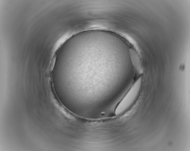 X0000091571373200709100948