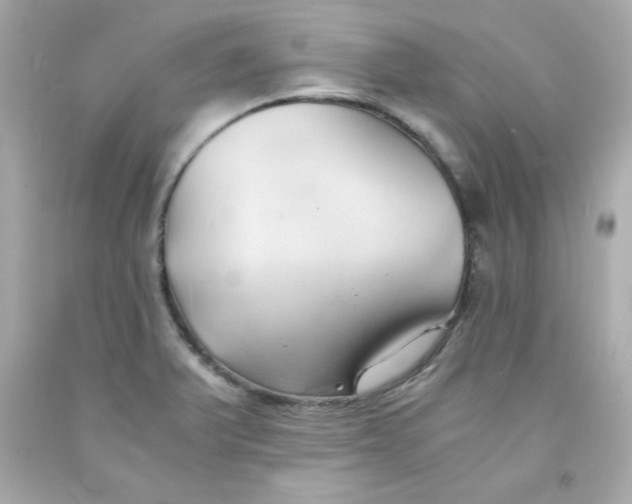 X0000091571375200709100948