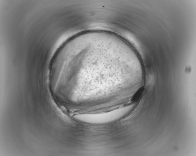 X0000091571376200709100948