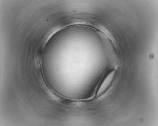 X0000091571377200709100948