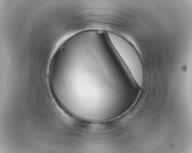 X0000091571379200709100947