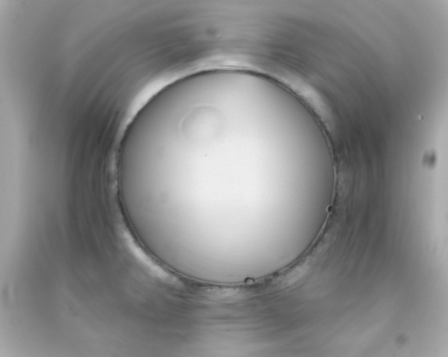 X0000091571382200709100947