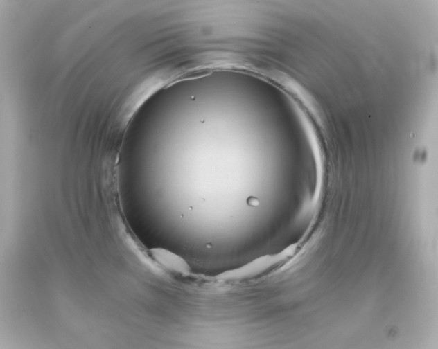 X0000091571385200709100947