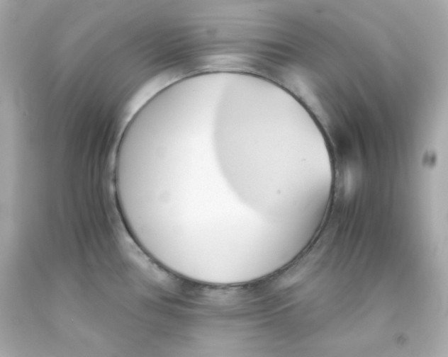 X0000091571386200709100947