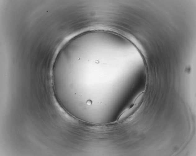 X0000091571388200709100947