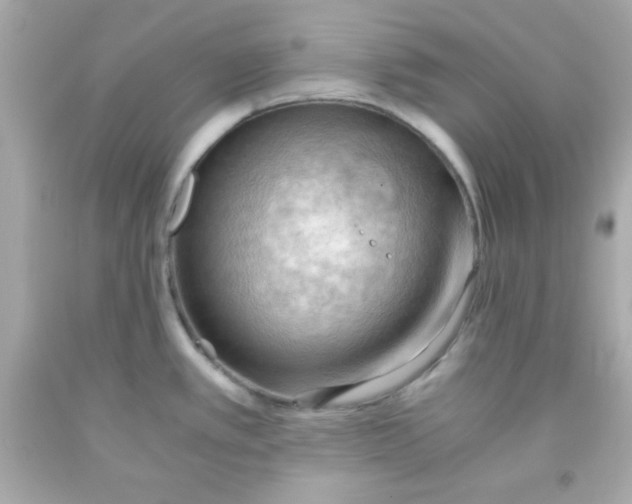 X0000091571389200709100947