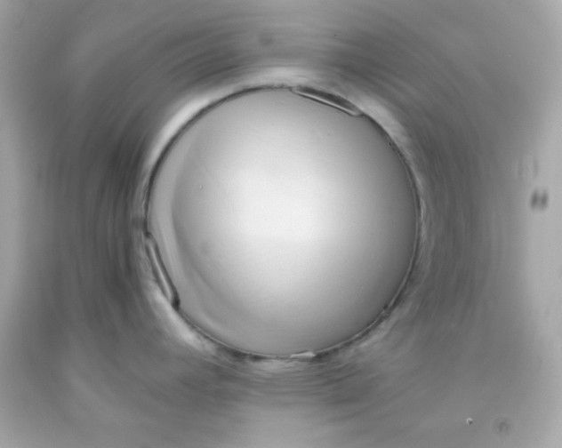 X0000091571392200709100947