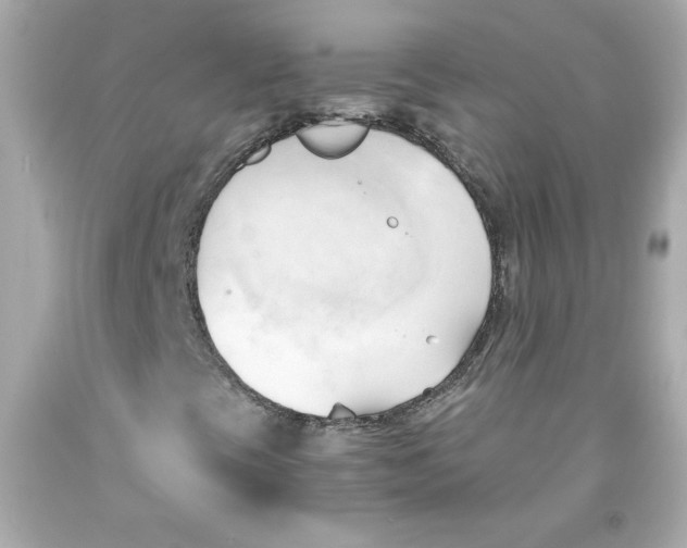 X0000091571393200709100946