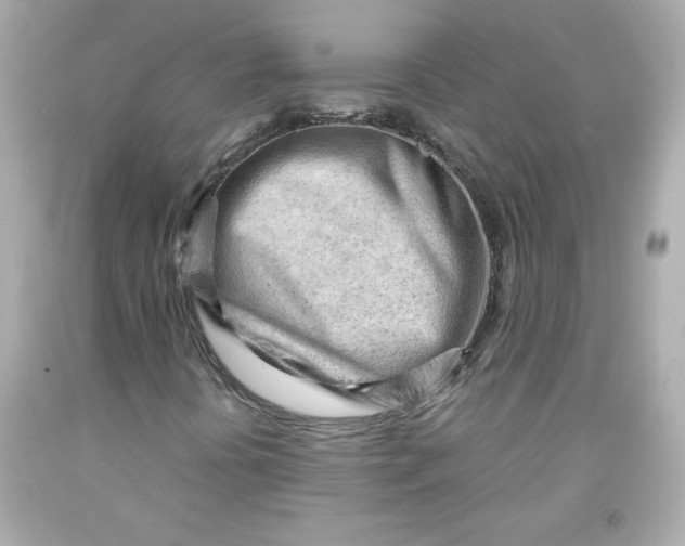 X0000091571394200709100946