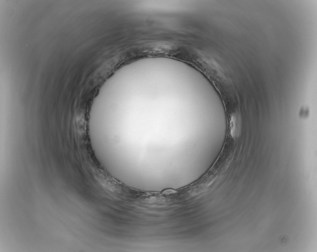 X0000091571395200709100946