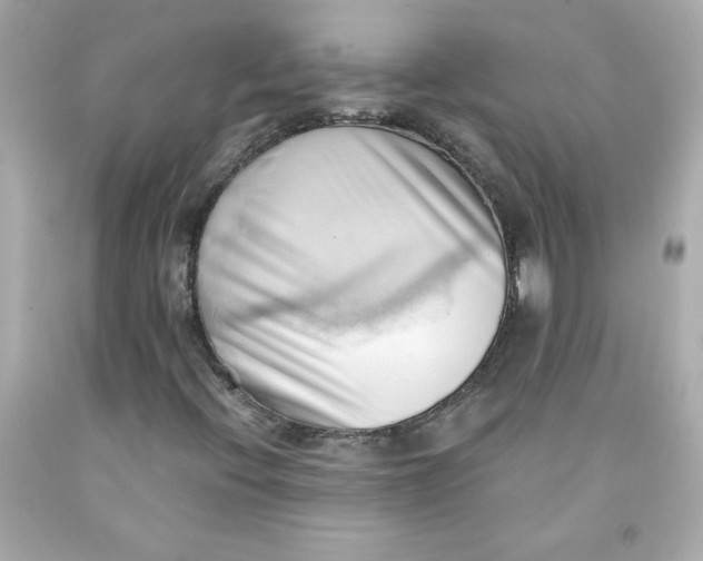 X0000091571396200709100946