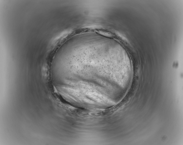 X0000091571398200709100946