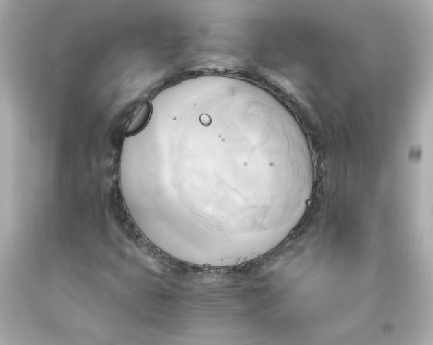 X0000091571399200709100946