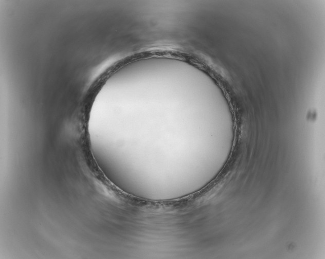 X0000091571400200709100946