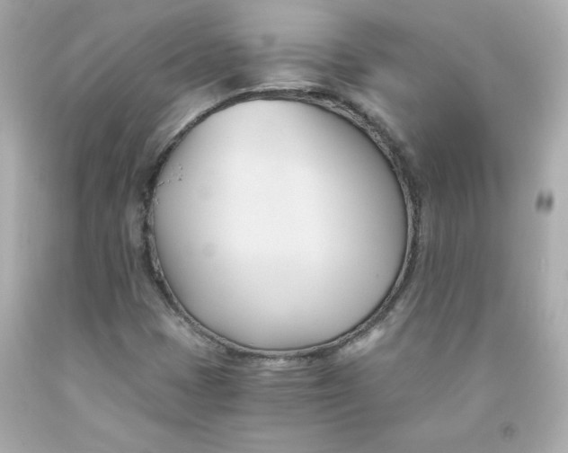 X0000091571401200709100946