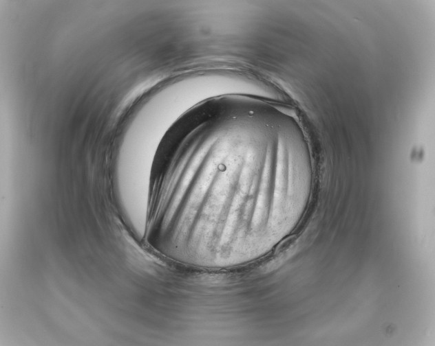 X0000091571402200709100946