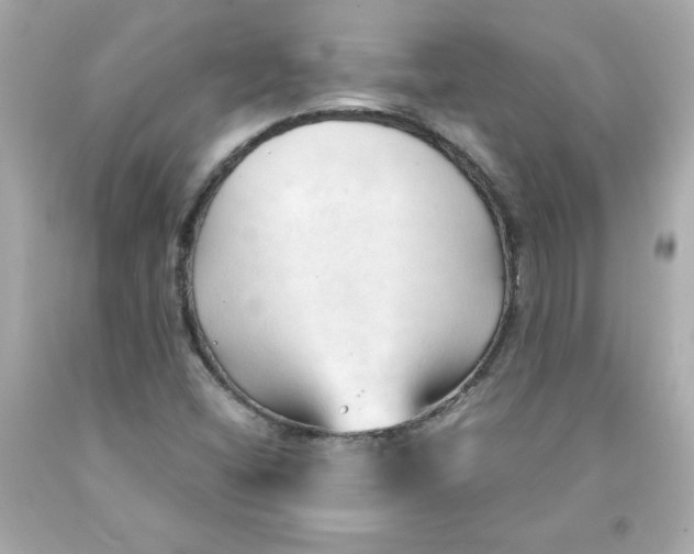 X0000091571404200709100947