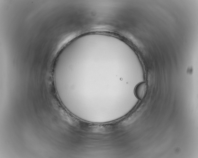 X0000091571405200709100947