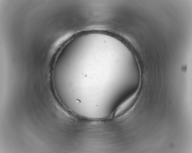 X0000091571406200709100947