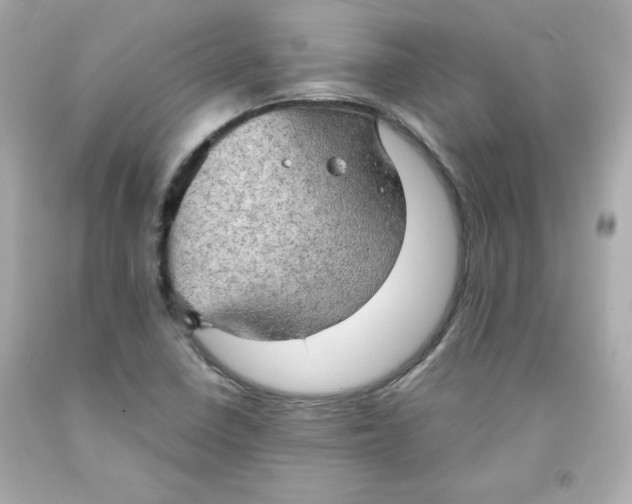 X0000091571410200709100947