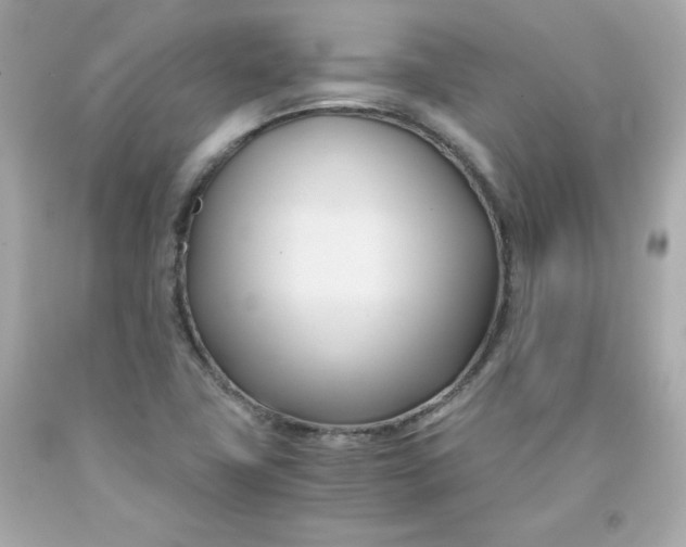 X0000091571411200709100947