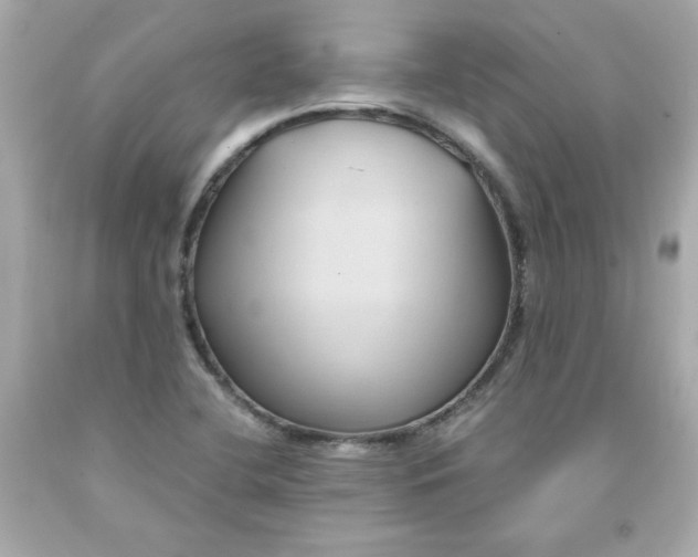 X0000091571412200709100947