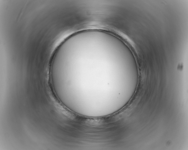 X0000091571415200709100947