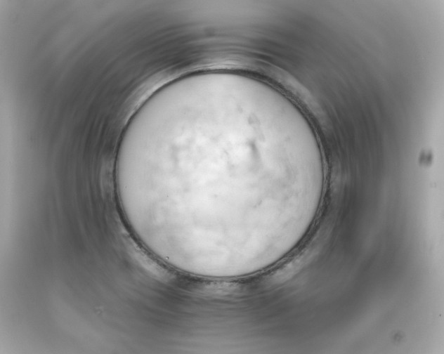 X0000091571417200709100947