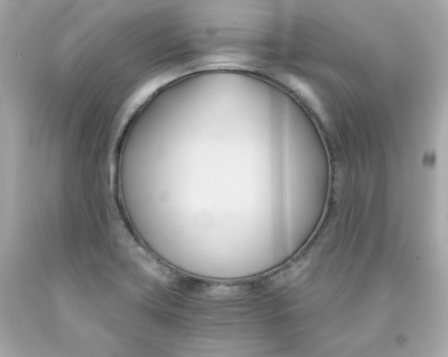 X0000091571419200709100947