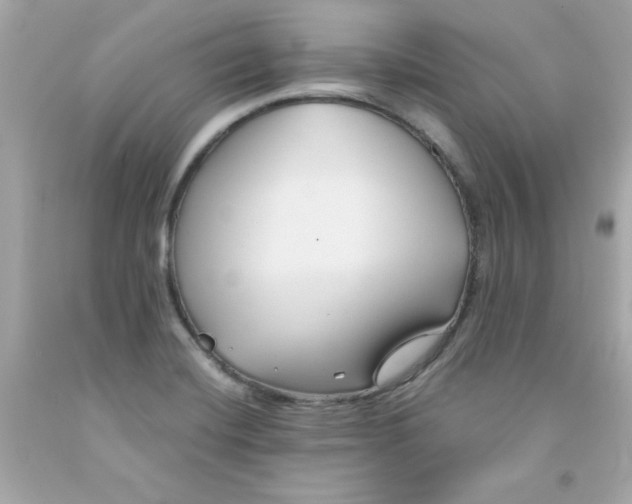 X0000091571420200709100947