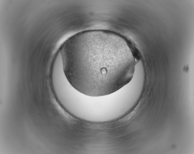 X0000091571422200709100947