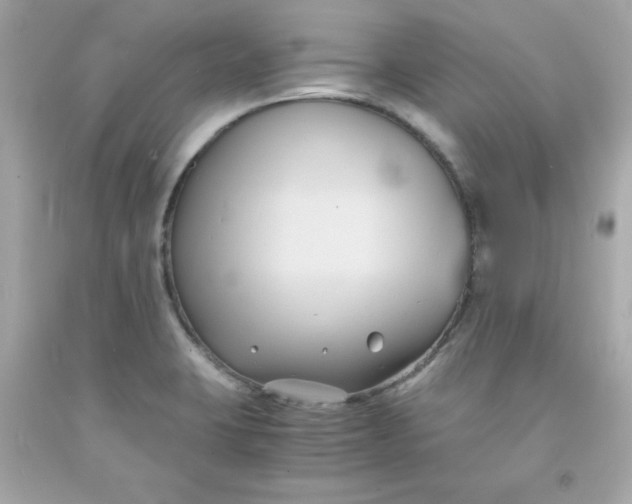 X0000091571423200709100947