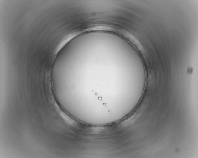 X0000091571425200709100947