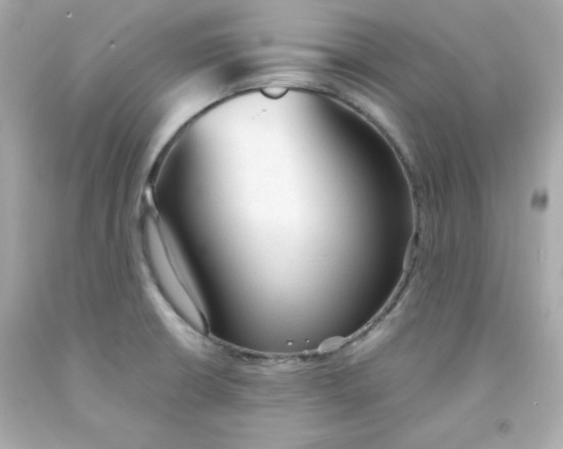 X0000091571426200709100947