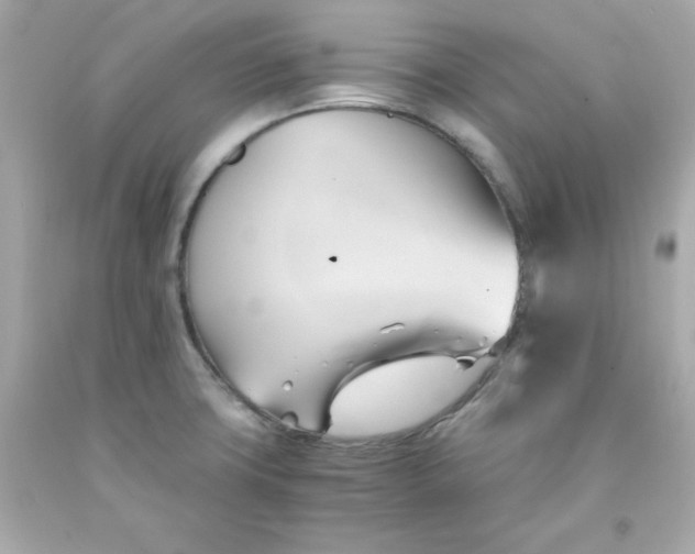 X0000091571427200709100947