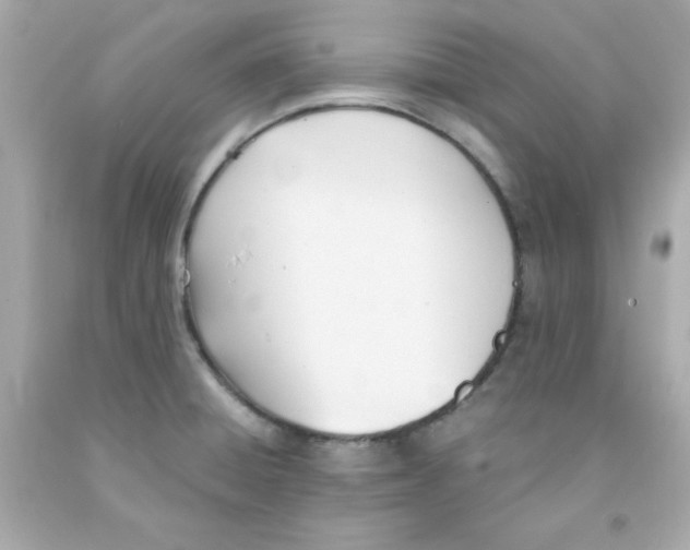 X0000091571428200709100947